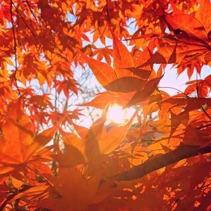 Meet your Posher, Valeria